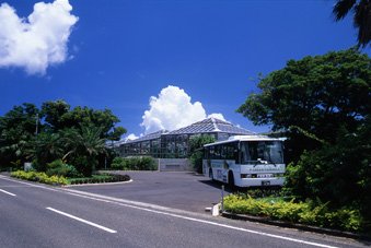 Yakushima Iwasaki Hotel Souvenir Shop