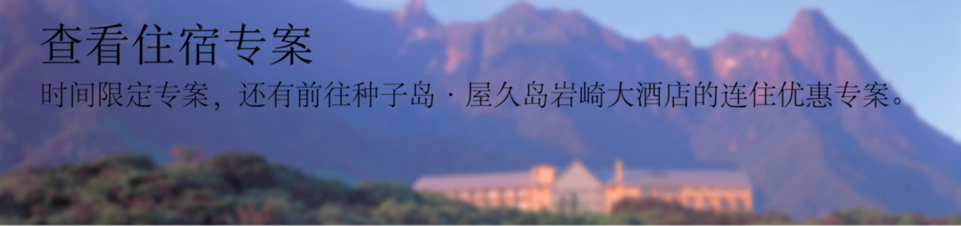 屋久岛岩崎大酒店