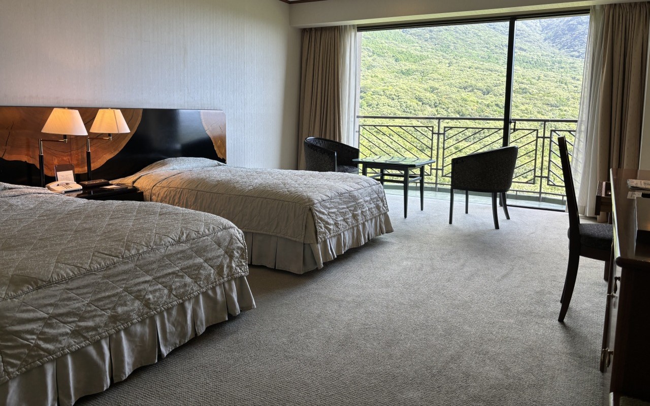 デラックスツイン