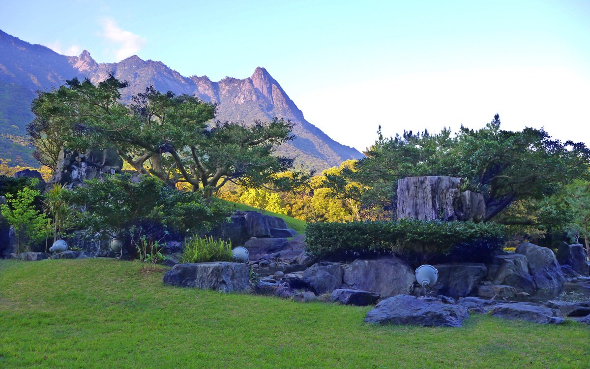 屋久島岩崎飯店　庭園散步