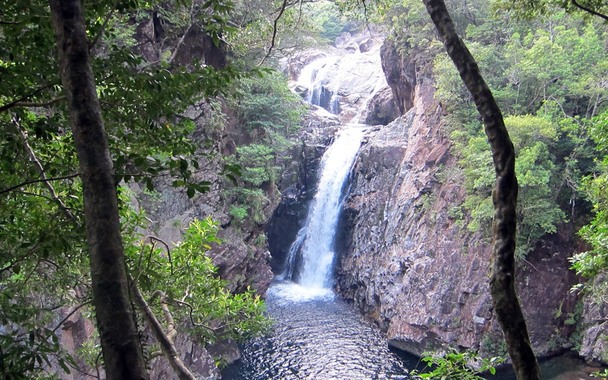 屋久島岩崎飯店　庭園散步